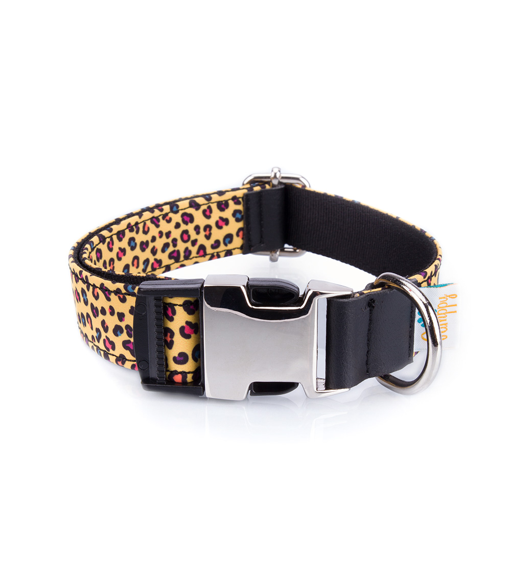 Coleira para cães Pamppy Funny Yellow Leopard