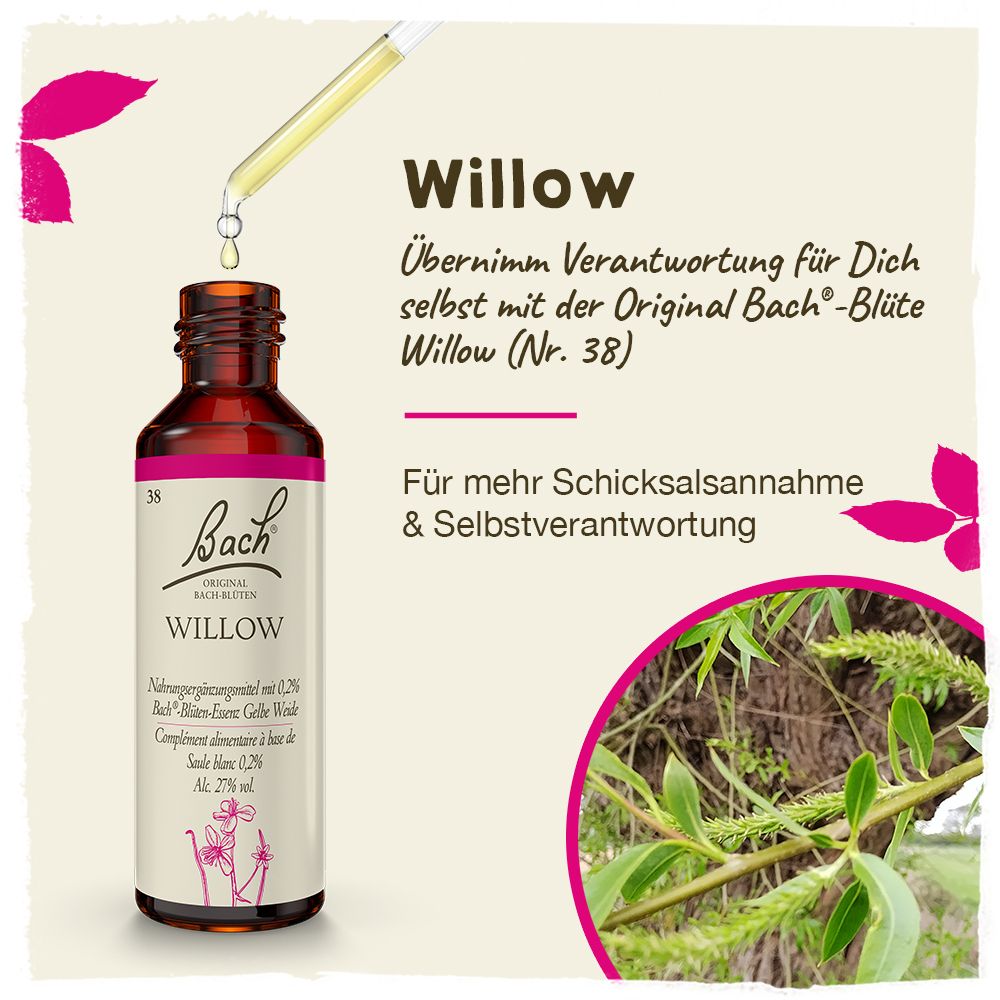 BACH®-BLÜTE WILLOW (Gelbe Weide)