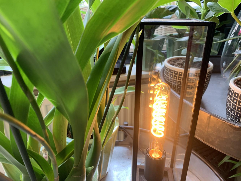 Flinders Big Amy LED Filament lichtbron E27 3W 2000K goud dimbaar