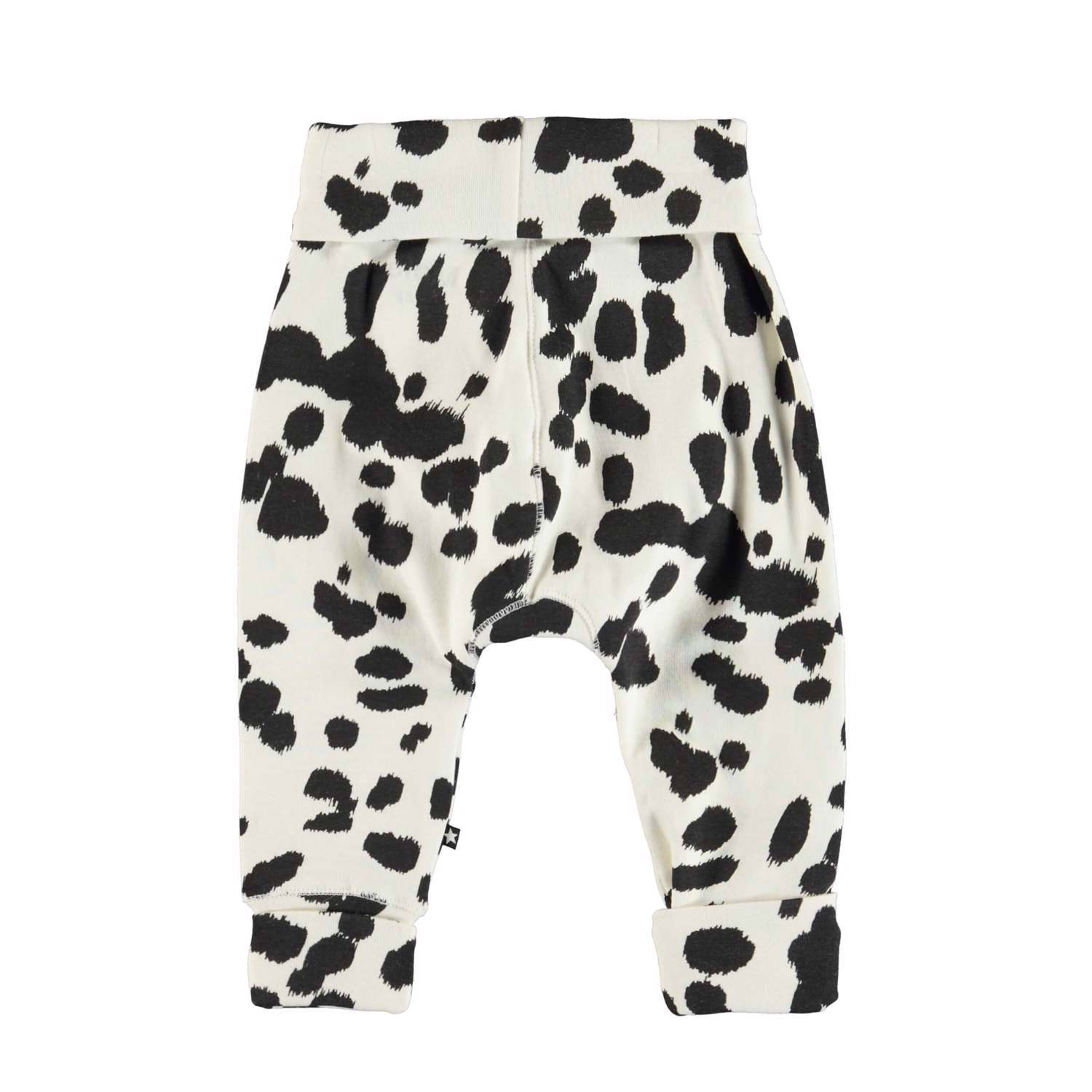 San - Dalmatian