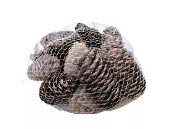 Sachet de pommes de Pin allongées marrons 240g