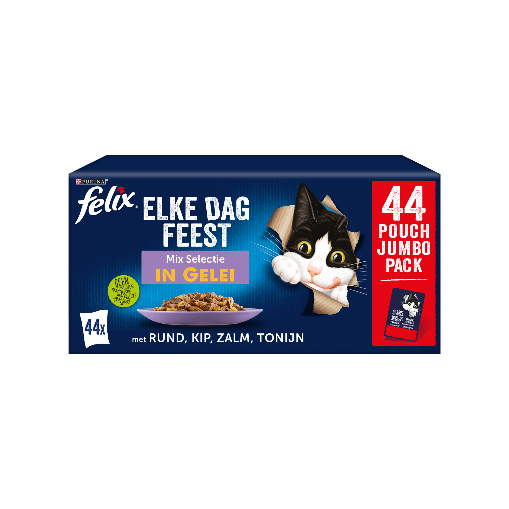 Felix Elke Dag Feest in Gelei