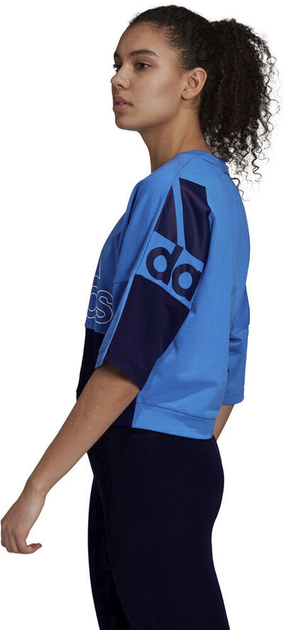 adidas Must Haves Colorblock sweatshirt Blå