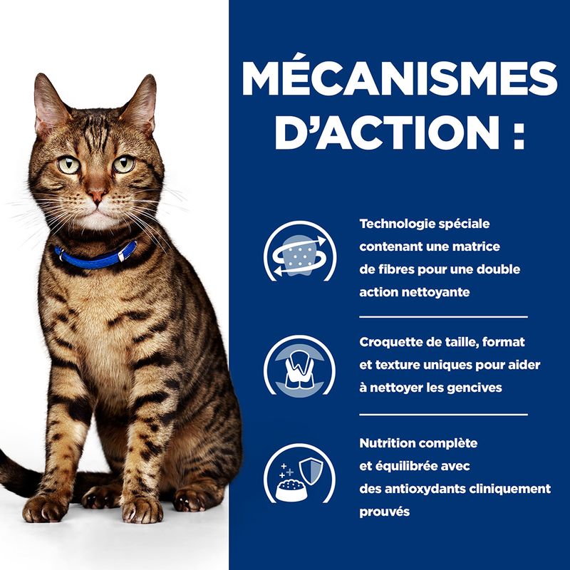 Hill's Prescription Diet Feline t/d