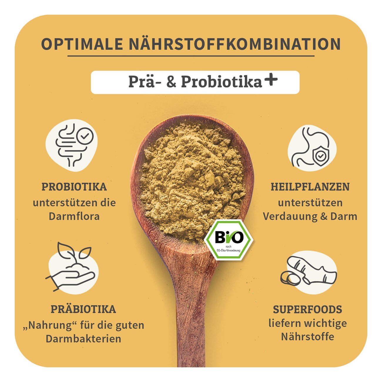 CURAPET Bio Verdauungspulver mit Prä- und Probiotika - DarmKraft 200g