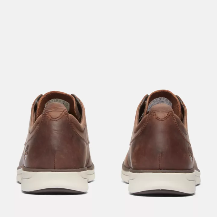Chaussure en cuir Oxford Bradstreet pour homme en marron