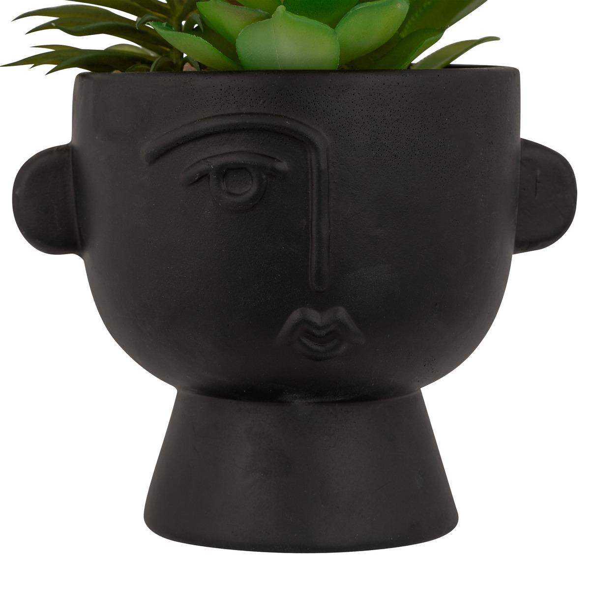 PLANTE GRASSE POT CIMENT DUSTY H.22CM