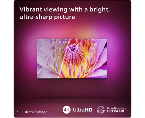 Philips 55PUS8209/12