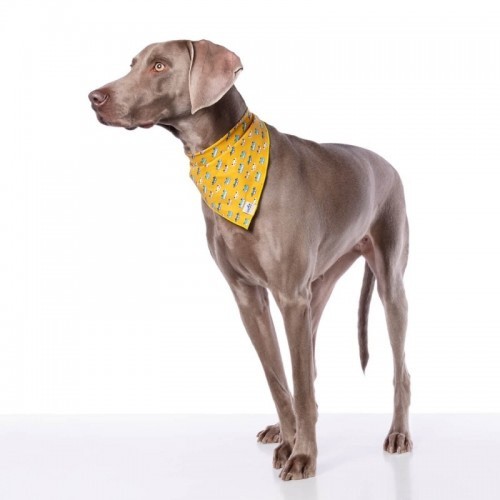Bandana cor mostarda para cães com estampa de carro