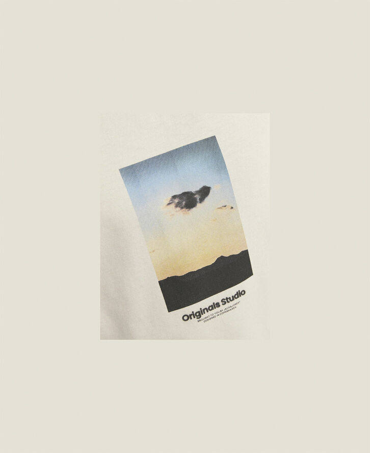 Jack & Jones JORVESTERBRO PICTURE TEE SS CREW JN Moonbeam/aw24