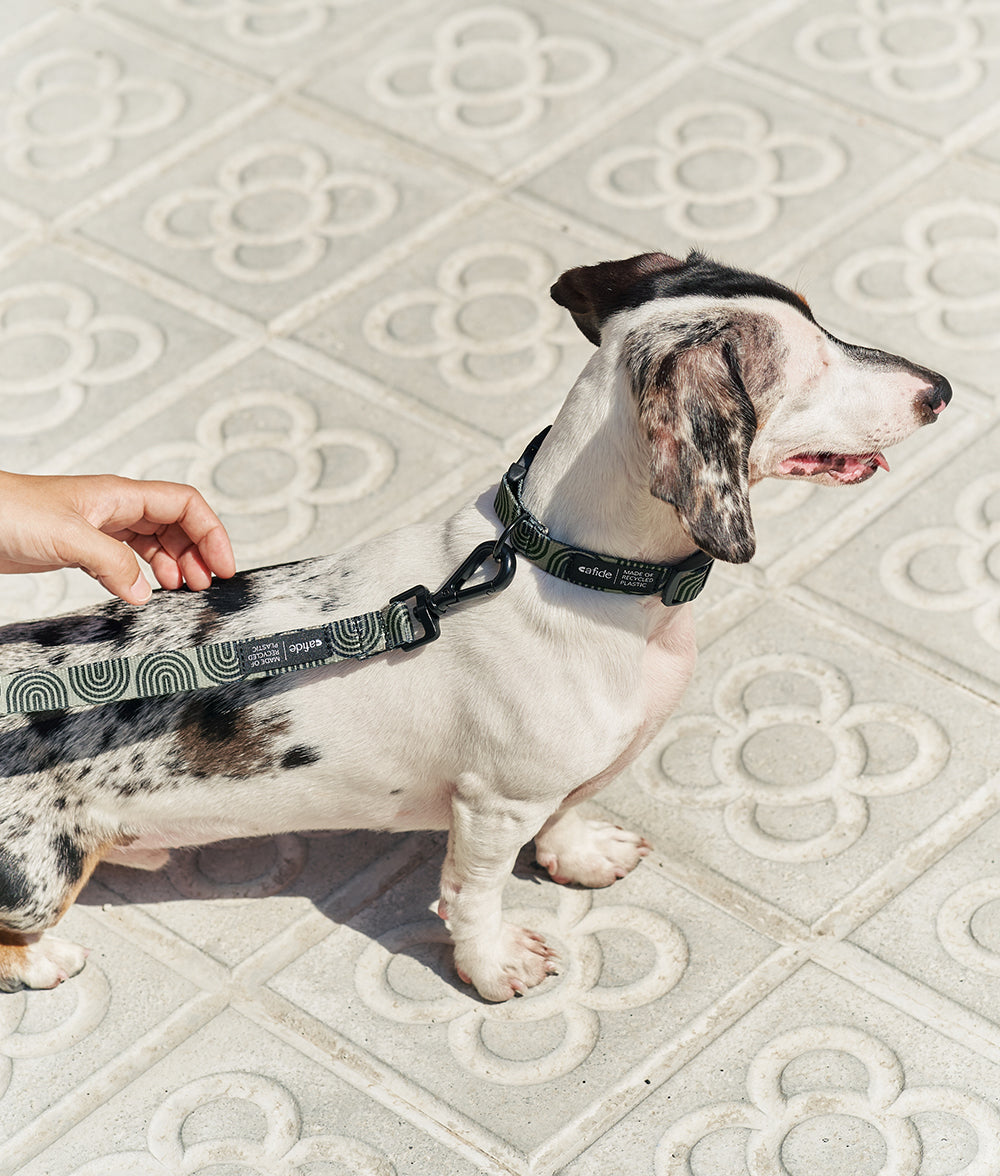Alça de 1,2 m em PET reciclado, design ecológico japonês, Juno
