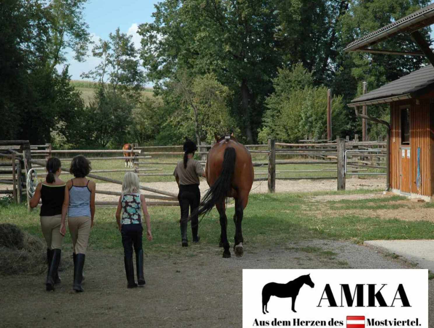 AMKA Side Pull Soft