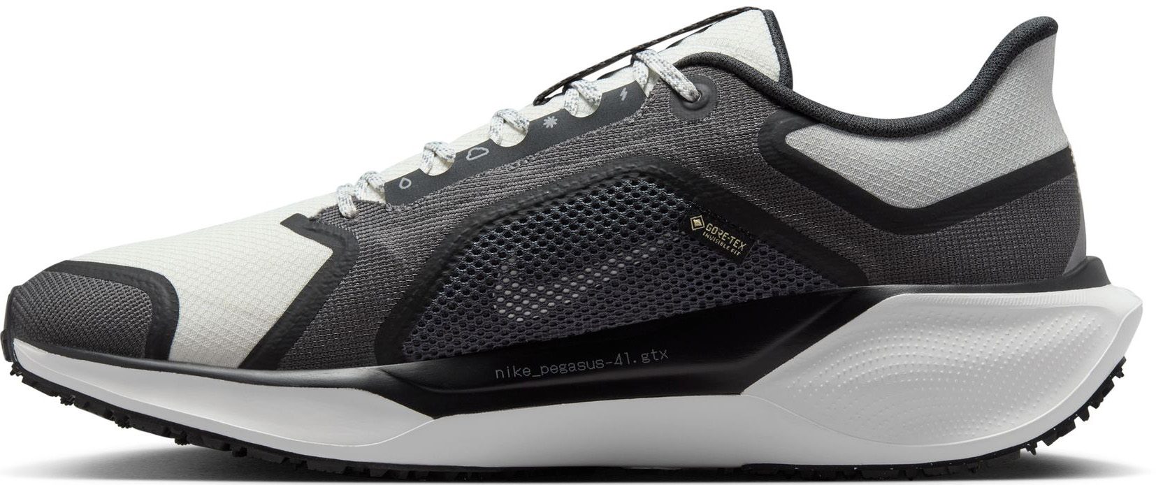 Pegasus 41 GORE-TEX Herre 002/Black/Summit White/Anthracite/Iron Grey