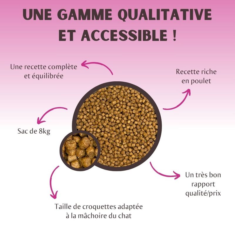 Nutrivet TAO Kitten poulet pour chaton