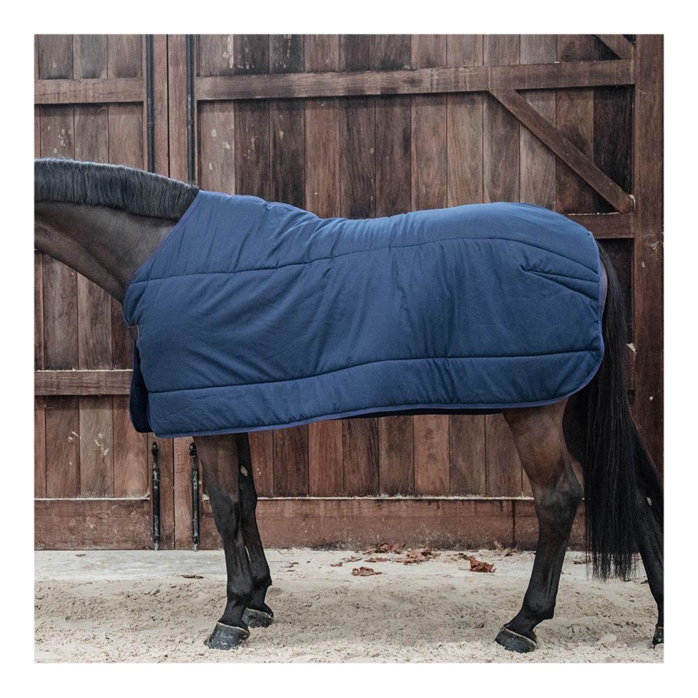 Kentucky CLASSIC 300G - Sous-couverture navy