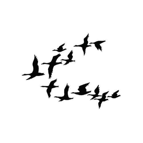 Lavinia Stempel, Ducks