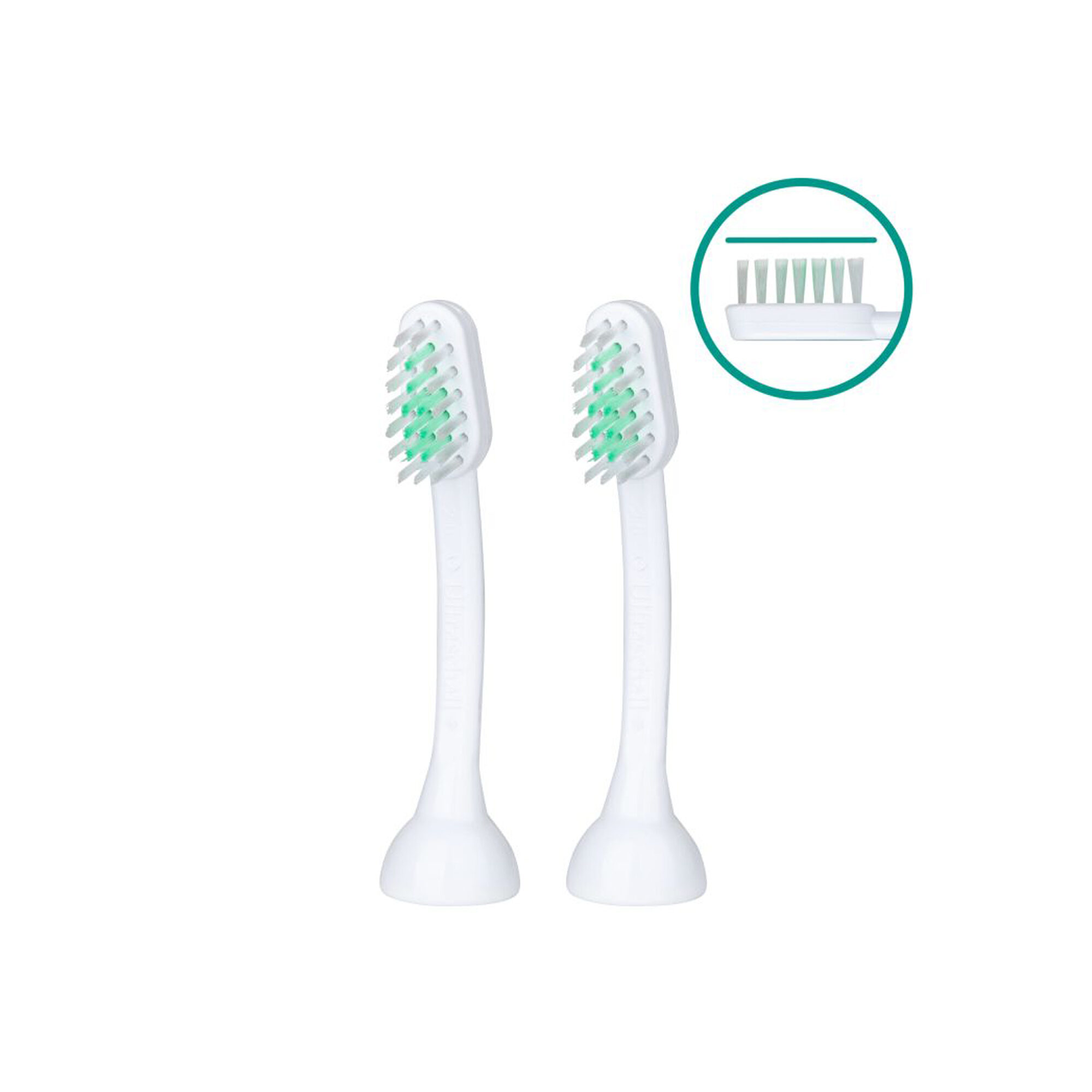 Emmi-Pet Basis Set 2.0