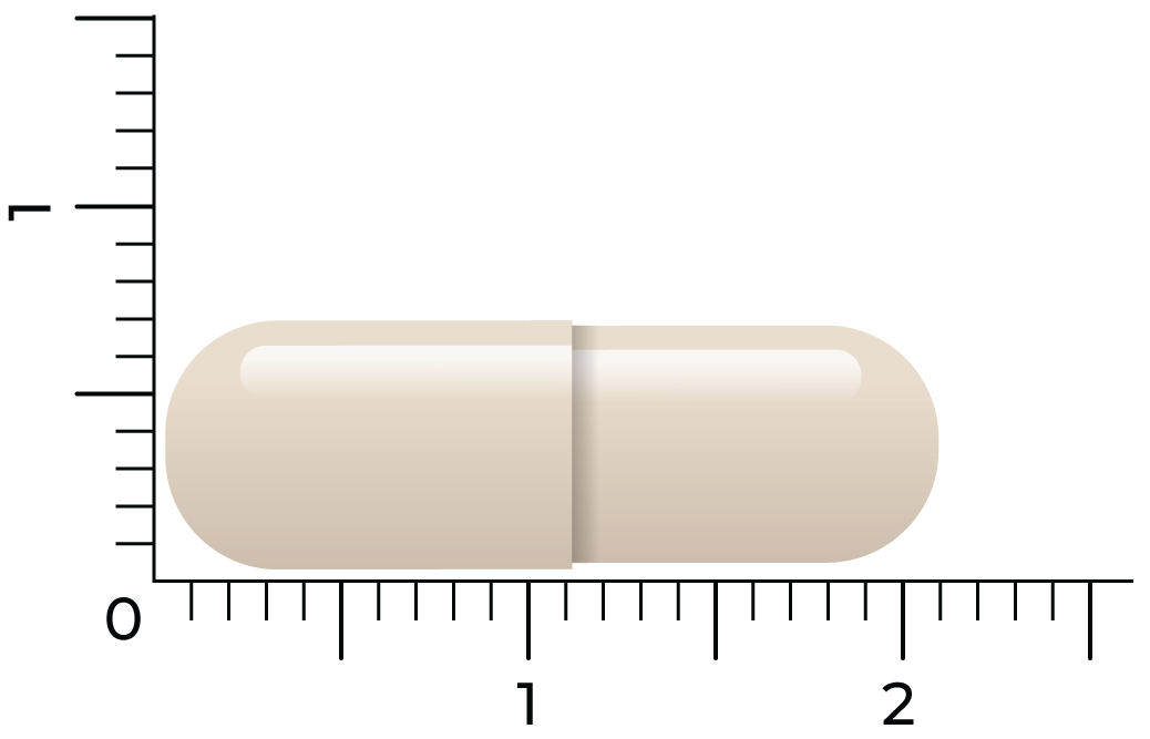 Vitakruid Groenlipmossel Extract & Ovomet Eierschaalmembraam (90 vega capsules)