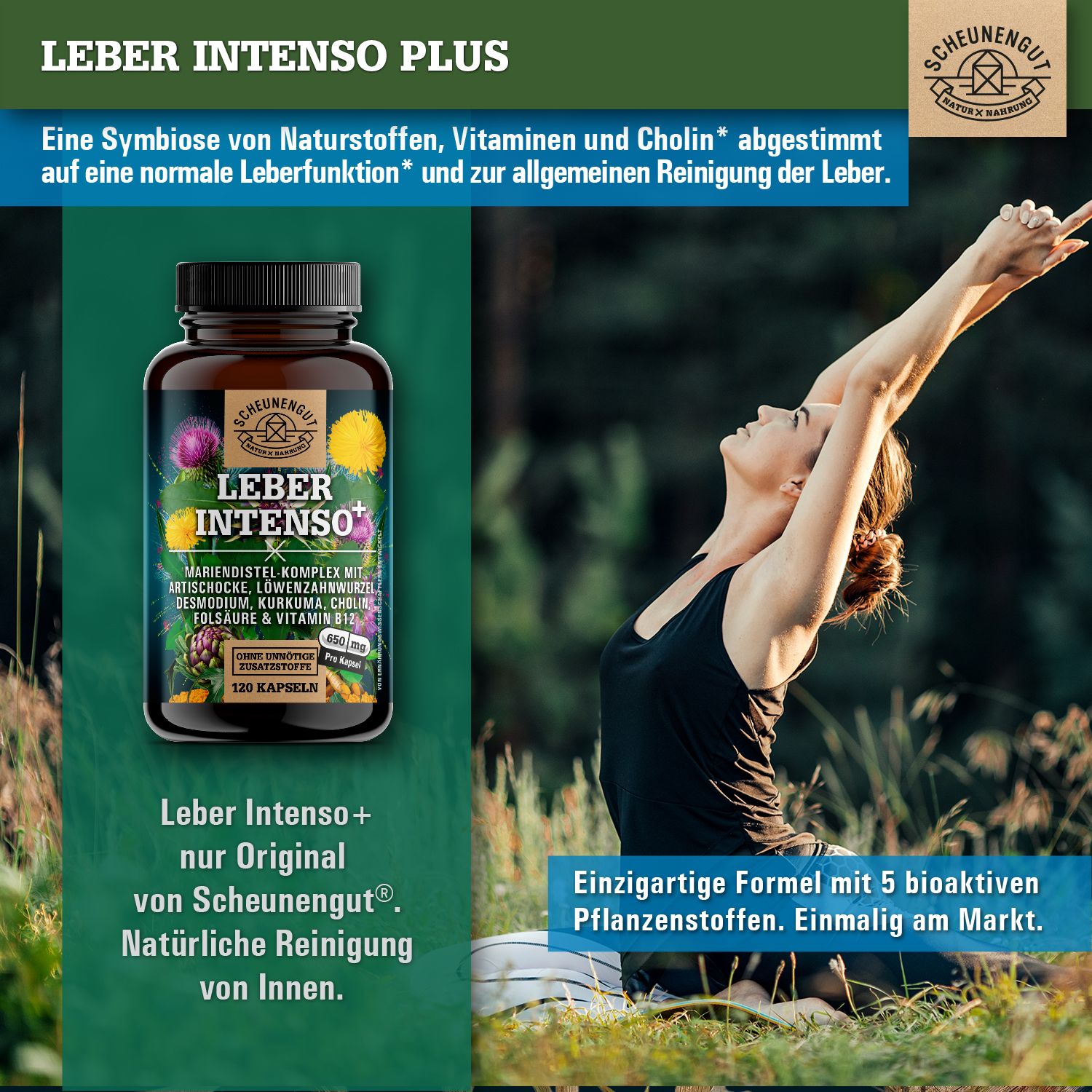 Scheunengut® LEBER INTENSO+ | Extra starker Leber Komplex mit Cholin