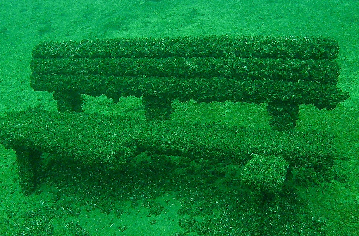 Tauchen im See Menden