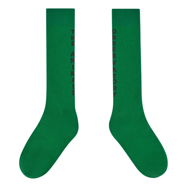 The Animals Observatory Chaussettes Worm | Vert