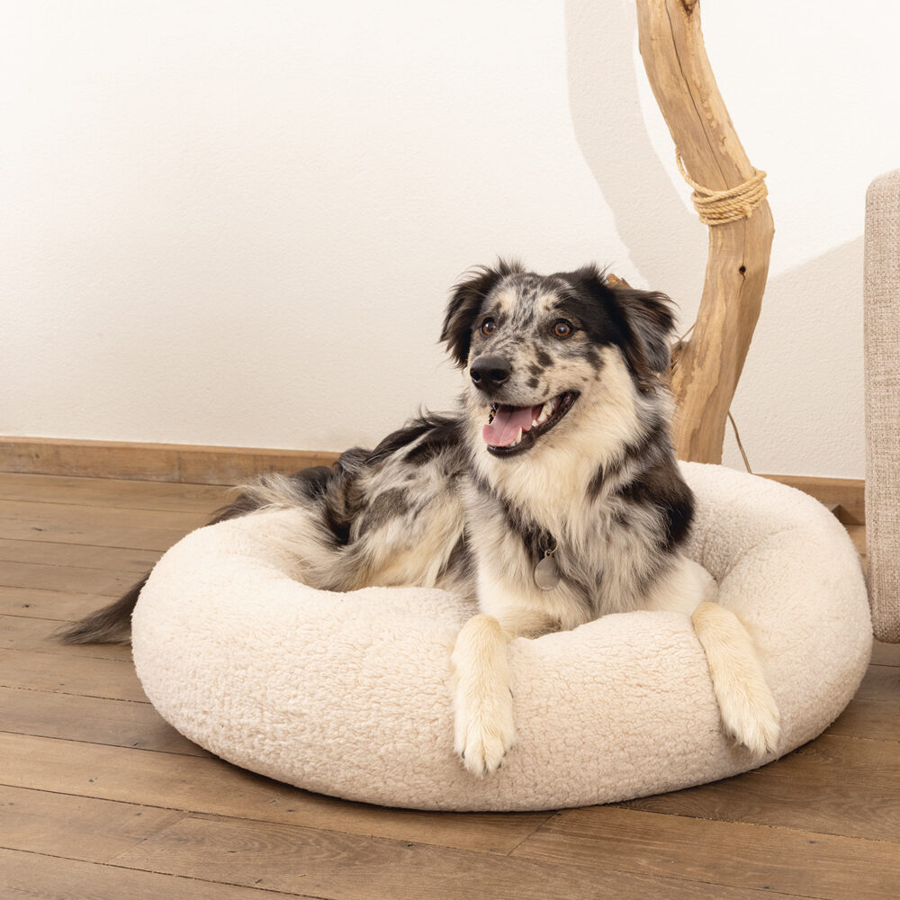 Beeztees Memory Foam Jaxx - Hondenmand - Pluche