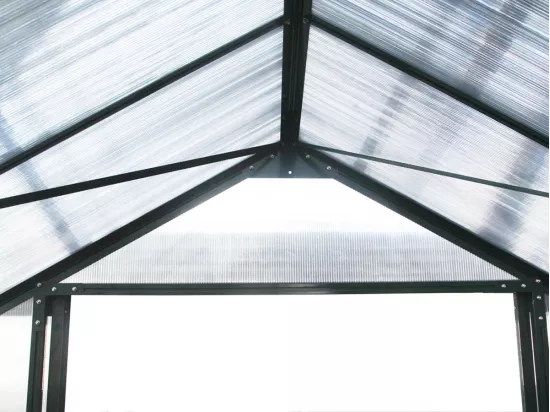 Serre jardin polycarbonate 