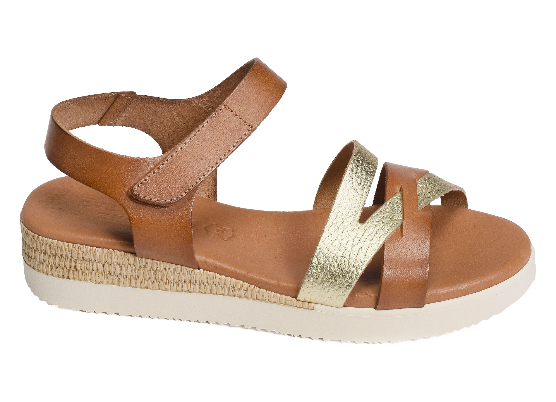 4206 camel or