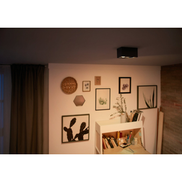 Philips opbouwspot MyLiving Box LED Zwart 2 x 4.5W