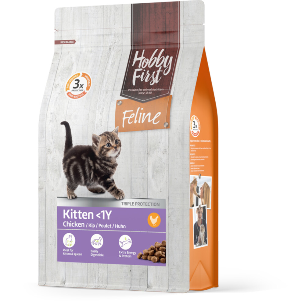 HobbyFirst Feline Kitten