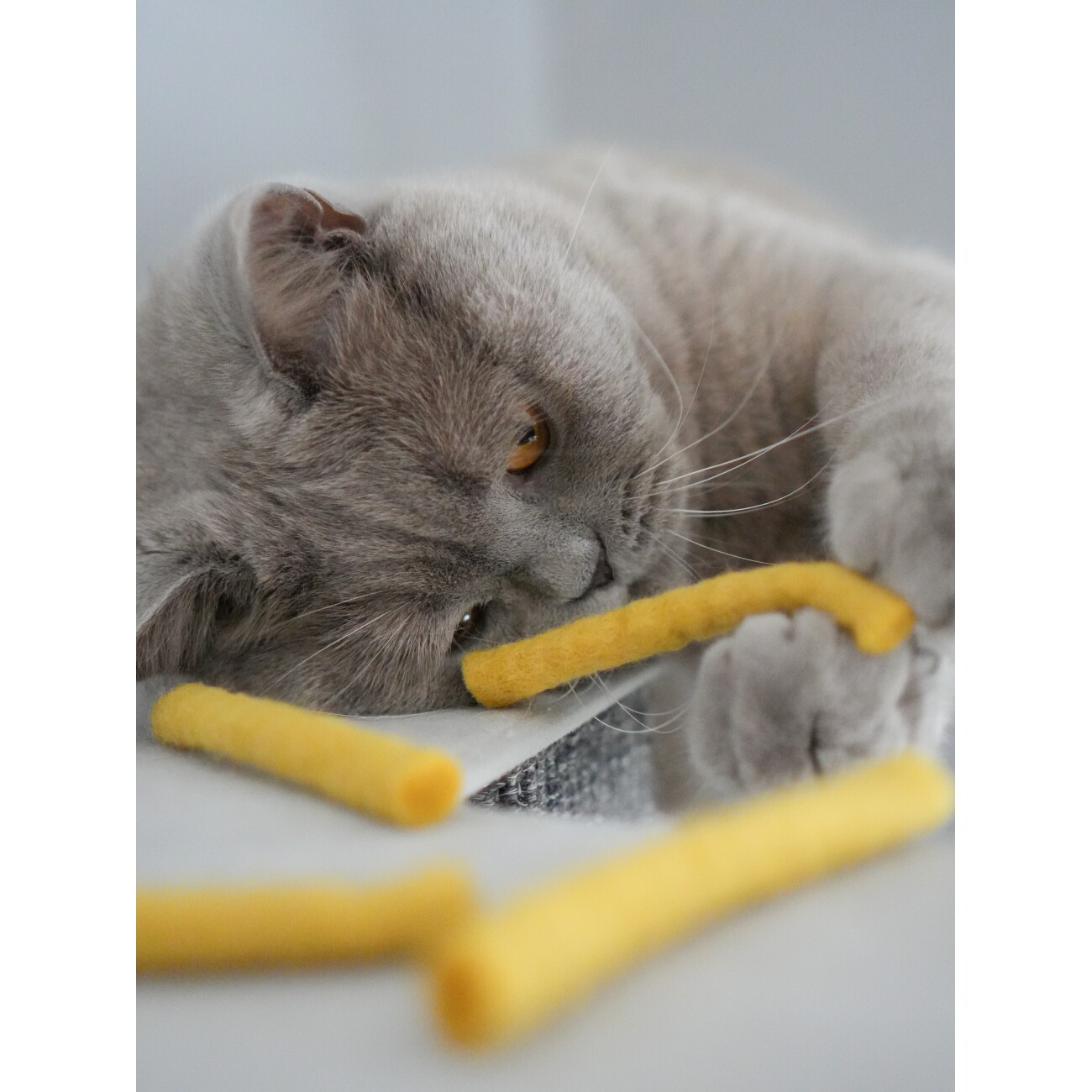 Mewow 5 Filz Pommes aus Schurwolle. 5 PAW-Frites in der Fritten-Tüte