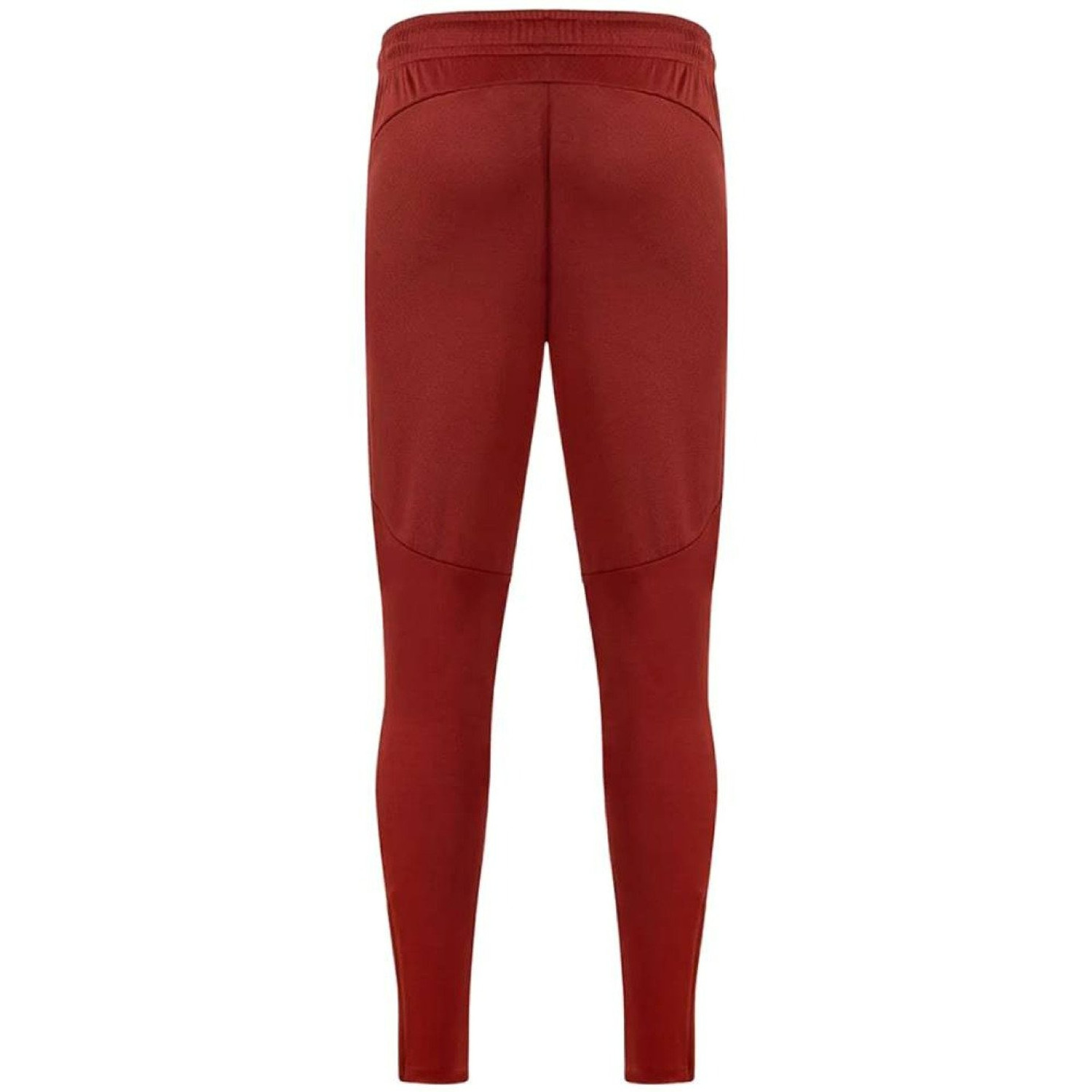 Puma Galatasaray Training Pant 2024/2025