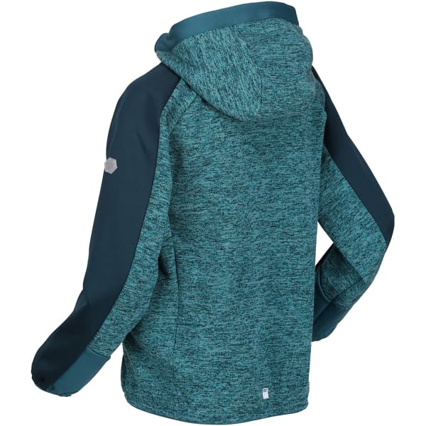 Veste polaire randonnée REGATTA DISSOLVER VI PAGODA/DRGNF