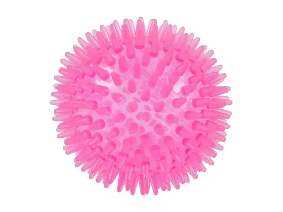 Lot de 2 Jouets pour Chien 