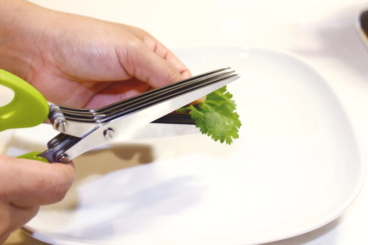 Ciseaux pour herbes aromatiques avec brosse de nettoyage Fackelmann Ba