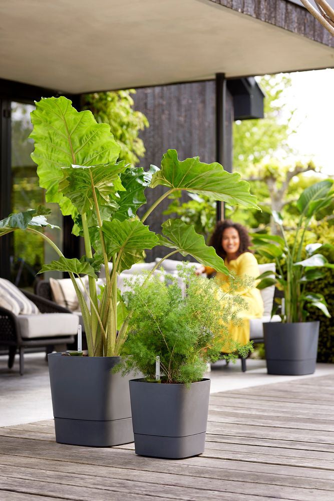 Elho bloempot Greensense Aqua Care antraciet 38 x 38 x 38,9 cm