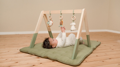 Little Dutch Little Farm Babygym Tre