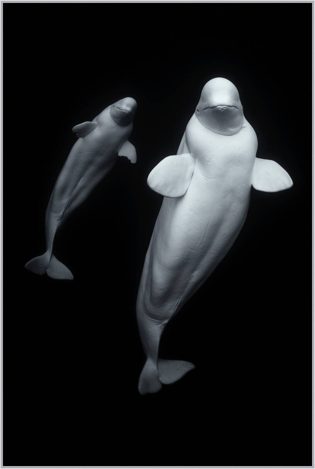 Ghosts of the Sea by George Karbus - Limited Edition. Edition of: 150. Signed.