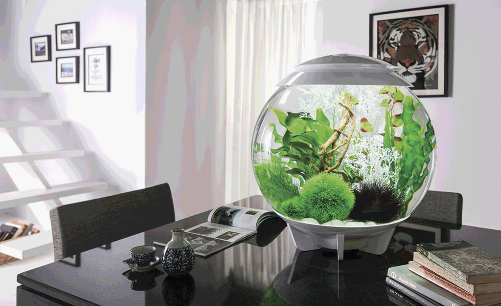 biOrb Halo 60 MCR Wit | Compleet aquarium