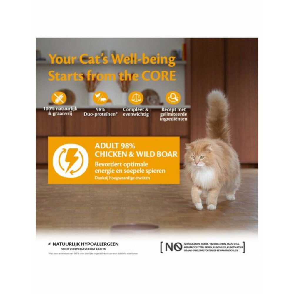 12x Wellness Core Kattenvoer 98% Recipe Kip - Zwijn85 gr