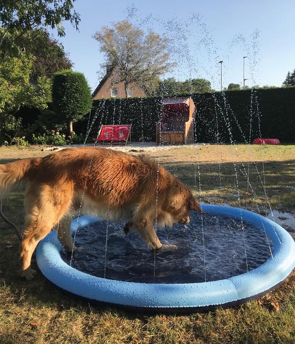 Nobby Hundepool Splash Pool, Ø150 cm