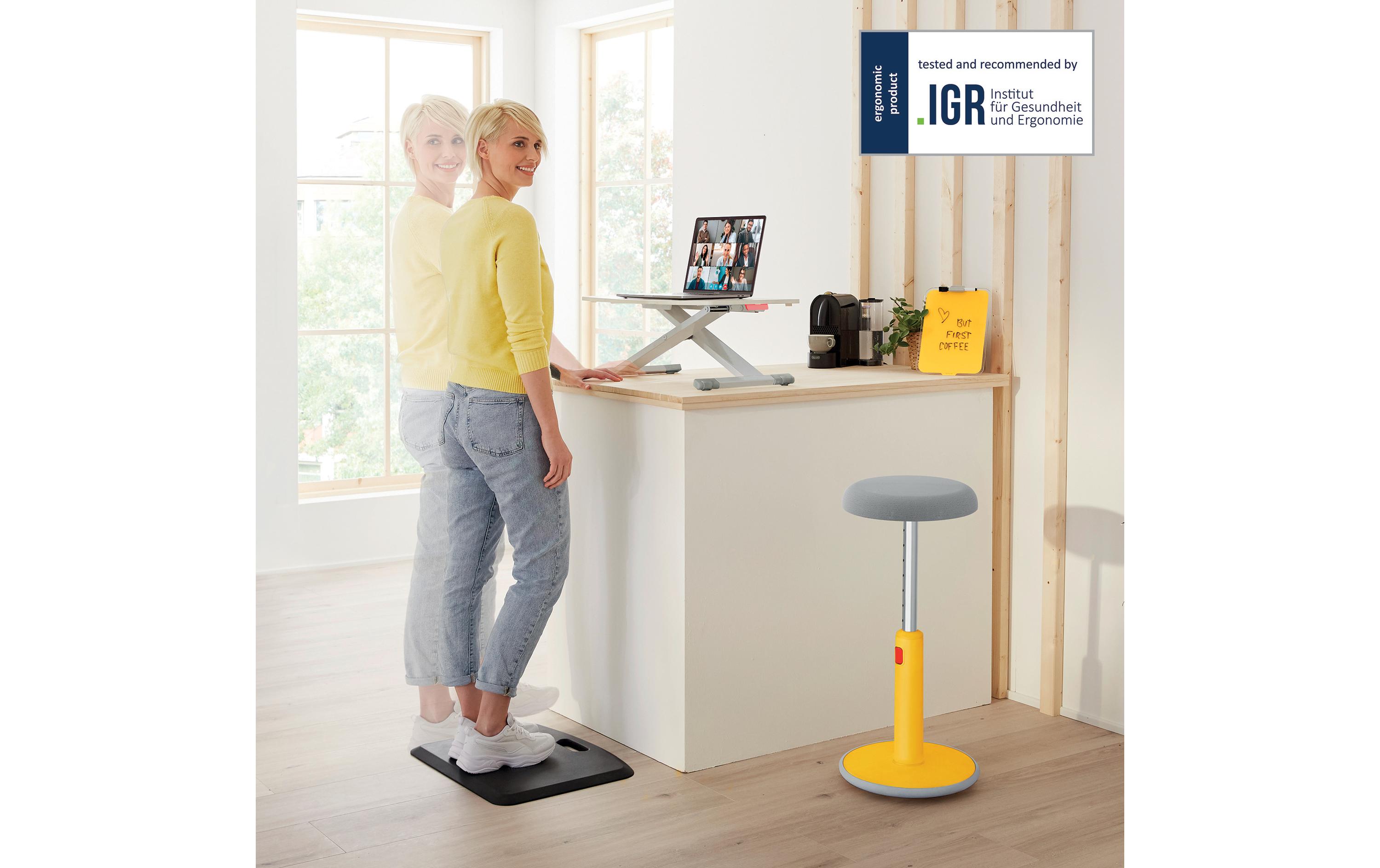 Ergo Cosy Höhenverstellbarer Schreibtischaufsatz<br>Leitz Ergo Cosy Höhenverstellbarer Sitz-/Steh-Schreibtischaufsatz
