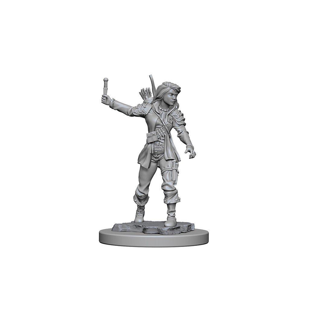 Pathfinder Deepcuts Unpainted Miniatures: Human Female Rogue