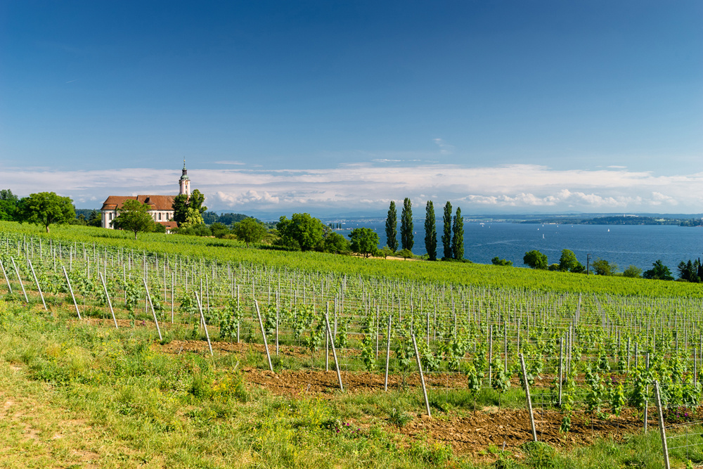 Akustikbild LANDSCHAFT 80x120cm, 7kg