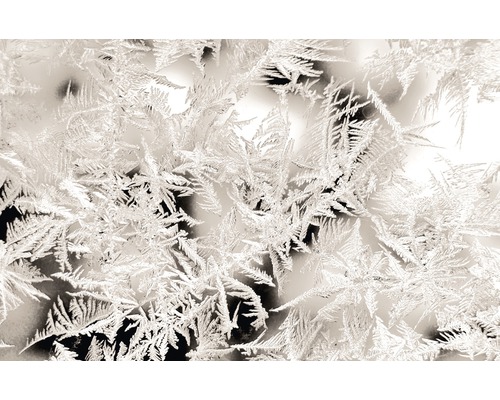 Alpina Fine Colors conserveermiddelvrij Time of Ice Flowers 2,5 L