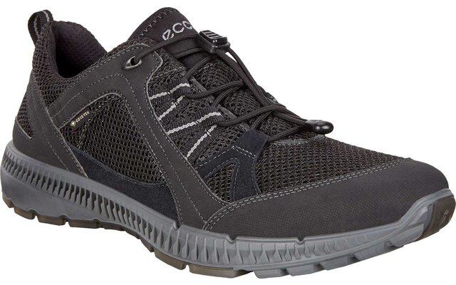Ecco Terracruise II Herrenschuhe