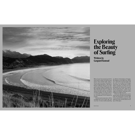 SURF PORN – Surfing Finest Selection