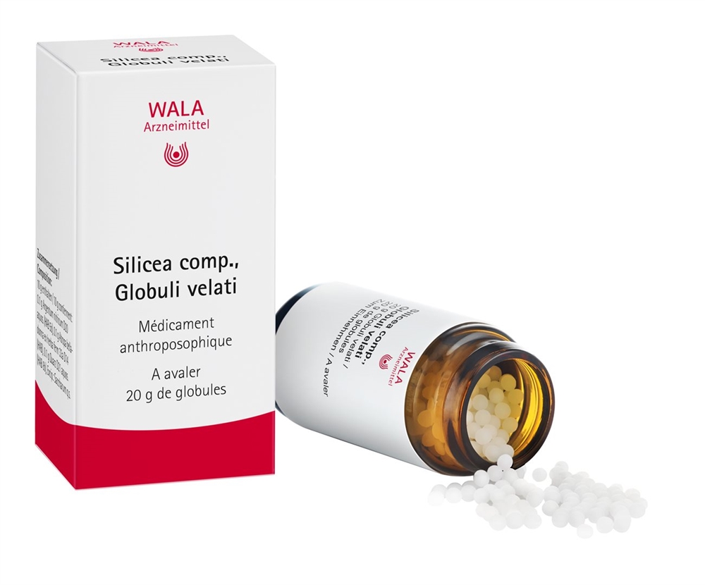 WALA Silicea comp. Glob Fl 20 g