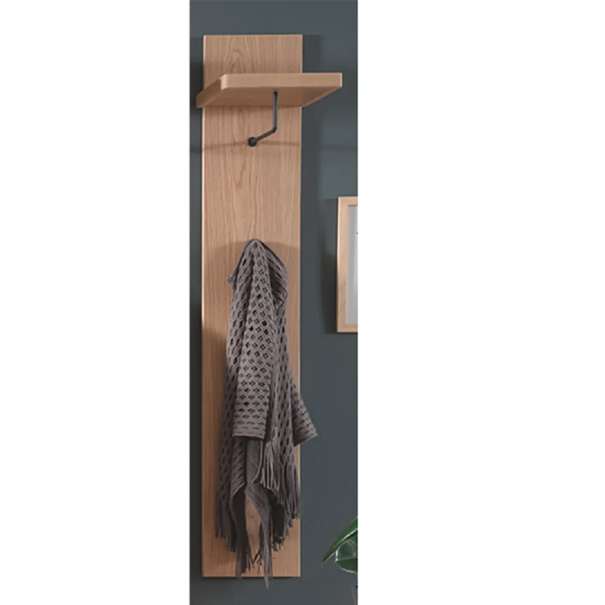 Pegane Vestiaire mural