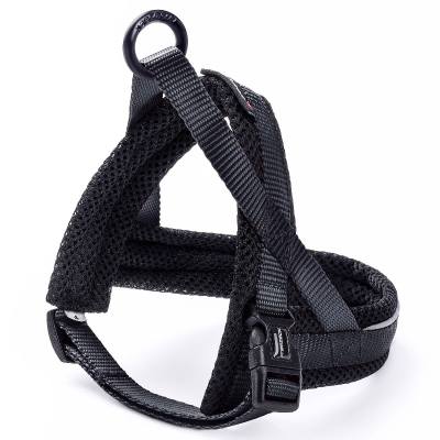Freezack Nordic Basic Mini